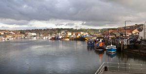 whitby june 2015 4 sm.jpg